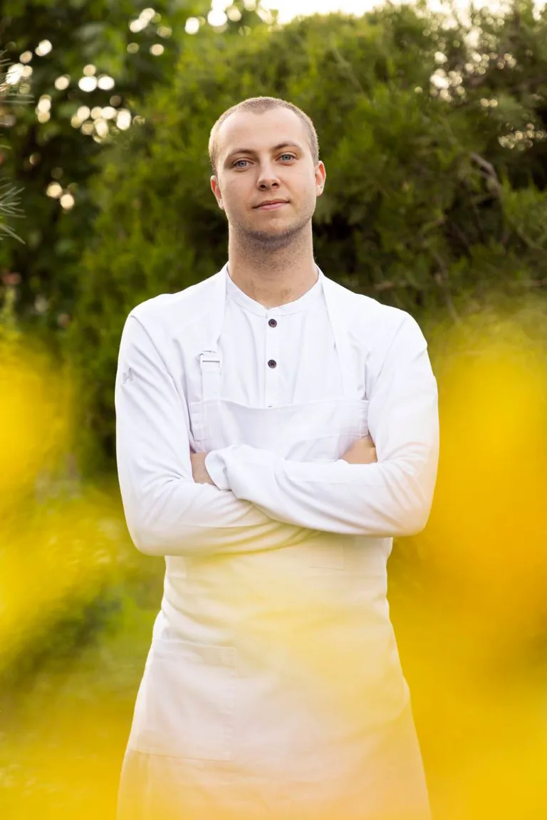 Vladimir Minaev