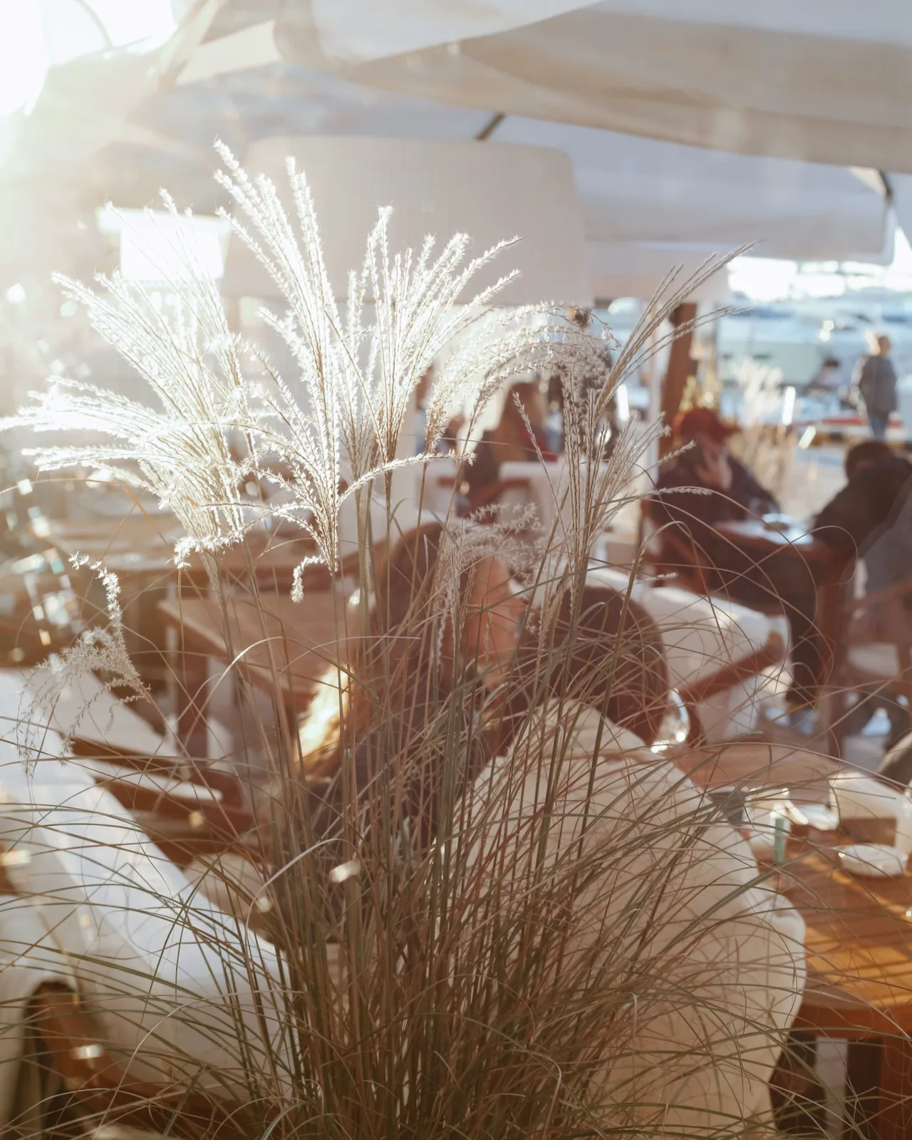 Neo Bistro Martinez