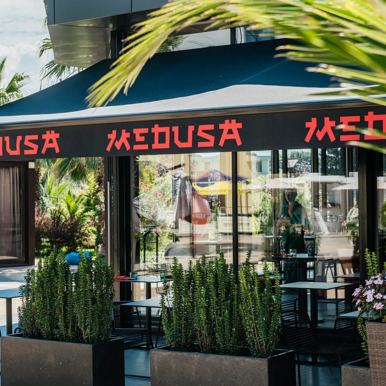 Medusa
