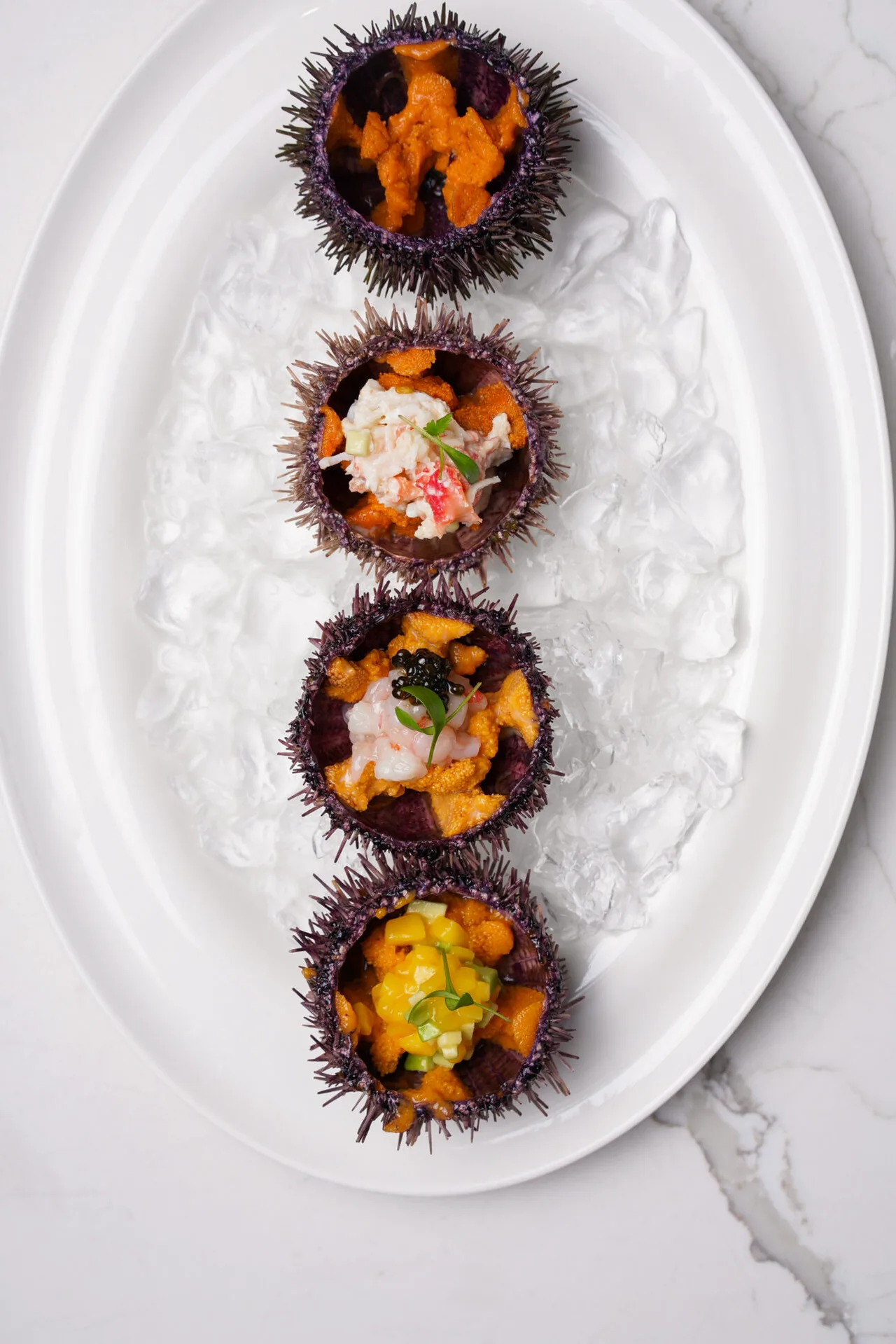 MORECA Seafood & Wine rest