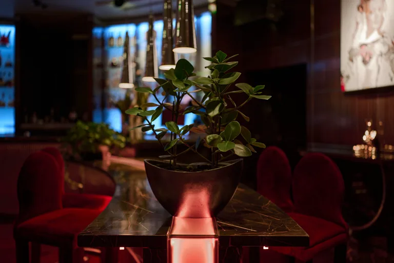 ArtBar Continental