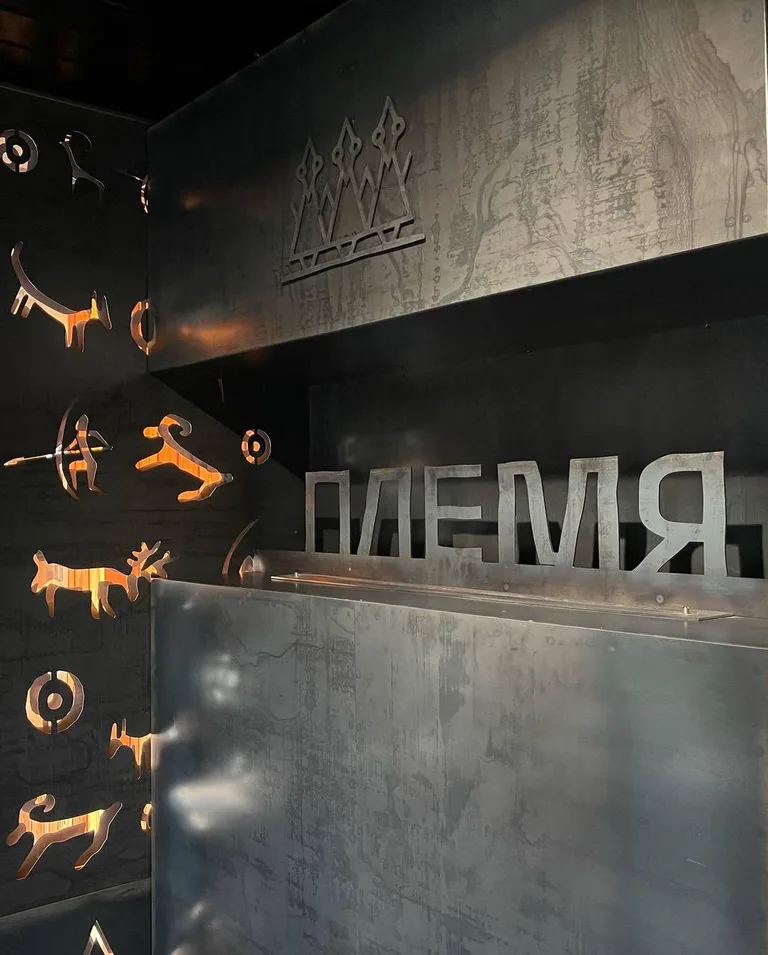 Plemya