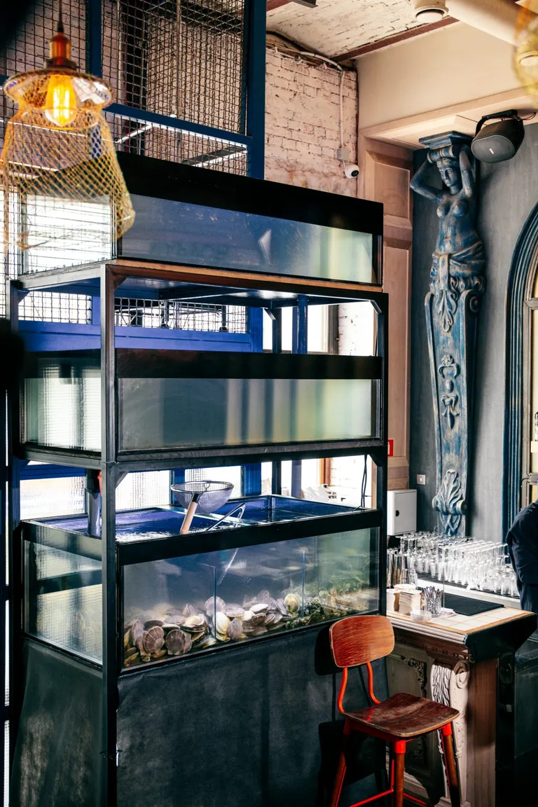 Rakushka seafood bar&kitchen