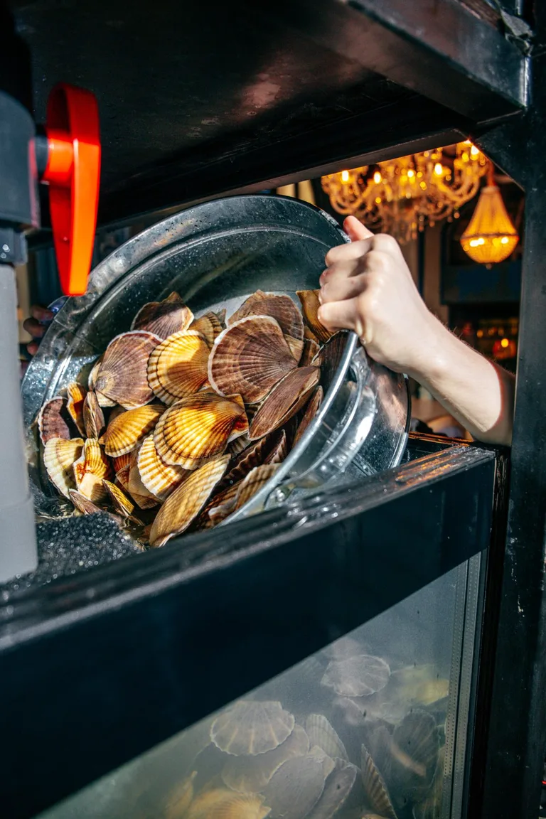 Rakushka seafood bar&kitchen