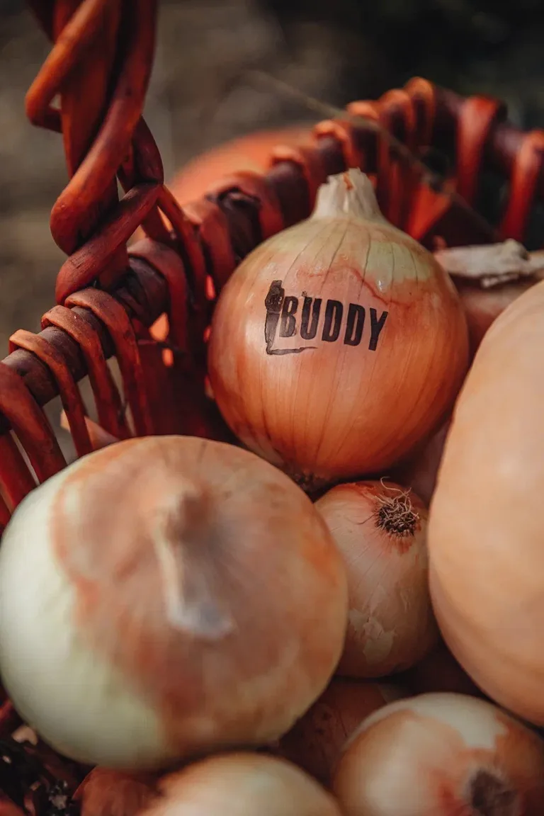 The Buddy cafe