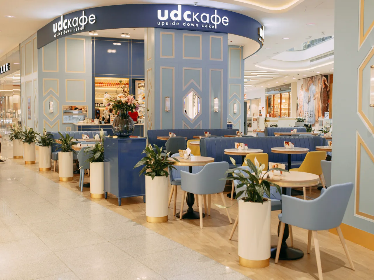 udcкафе