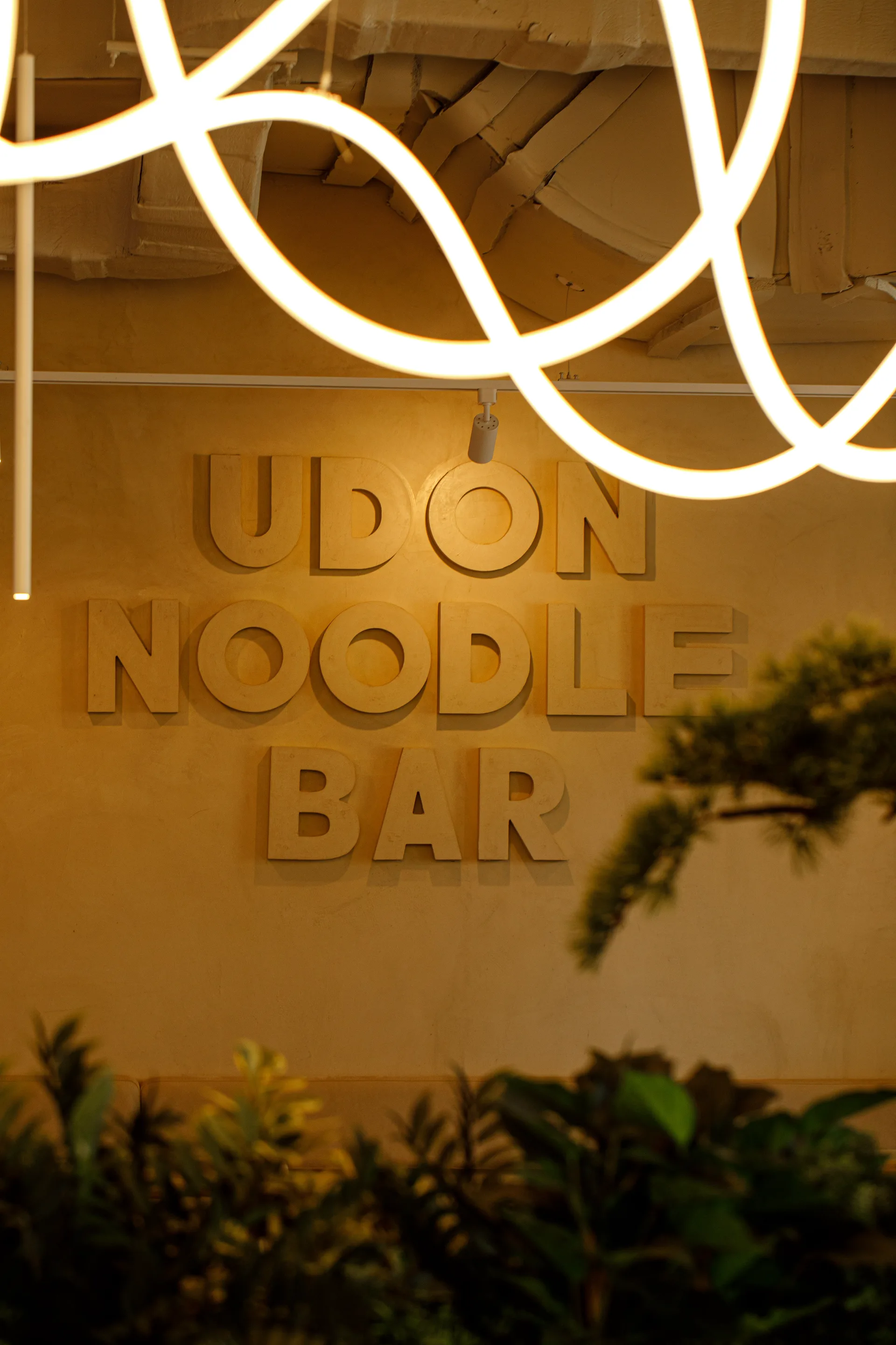 UDON