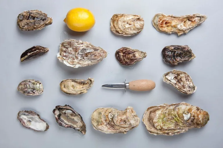 Umi Oysters