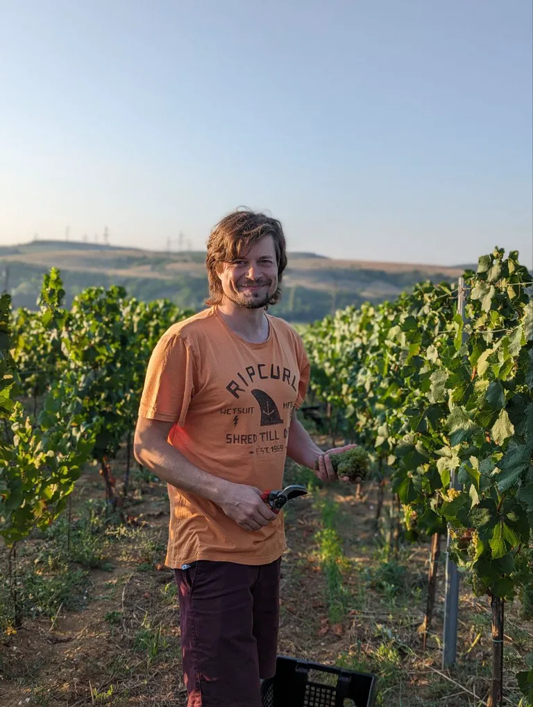 Zio Vini