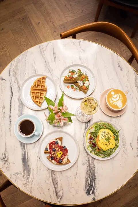 Zozh i Provokatsiya