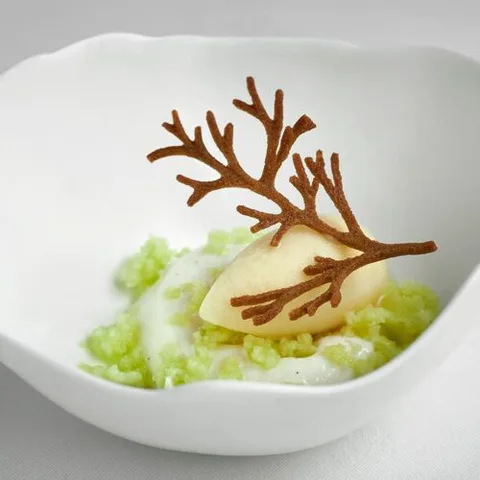 小华盛顿旅馆