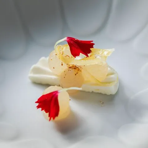 Вилла Serrae, Фиезоле.