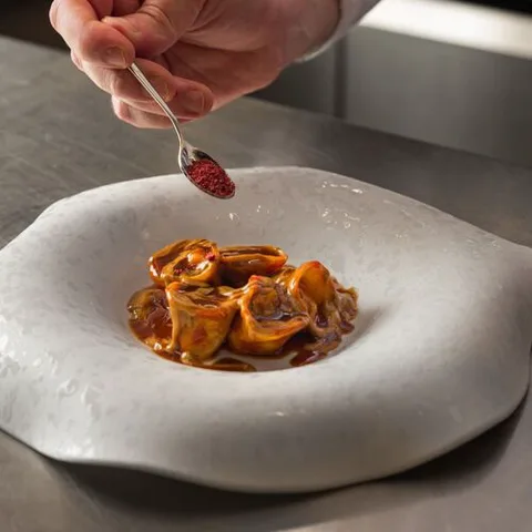 Procaccini