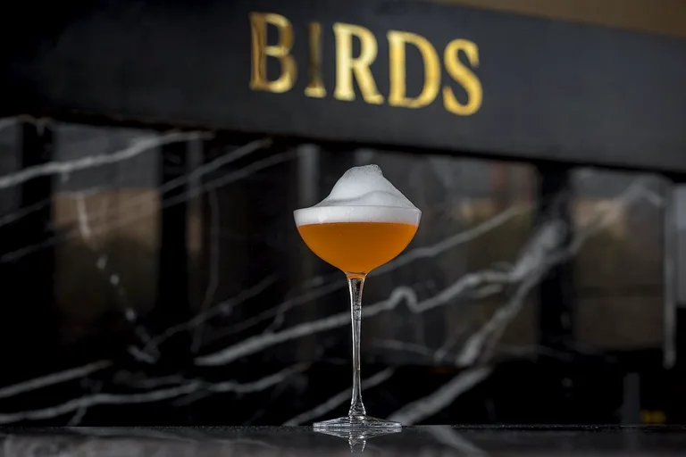 Birds
