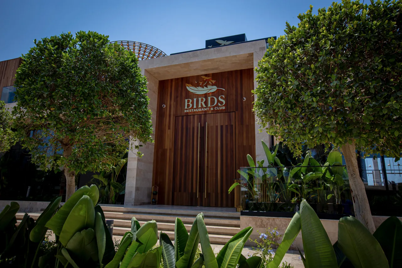 Birds