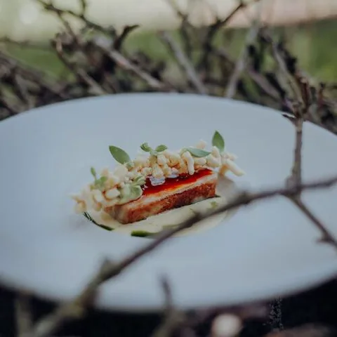 Restaurant Mohn