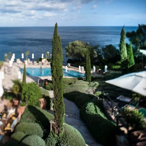 Il Pellicano