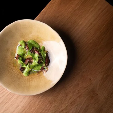 MOKO