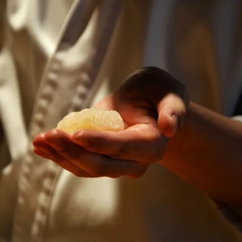 Sushi Wadatsumi