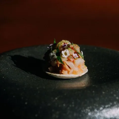 Koya