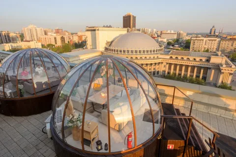 Capsula
