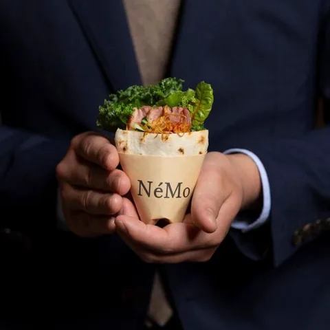 Nemo（注：此处为专有名词，通常保留原拼写或音译为“内莫”，具体需根据上下文语境确定）