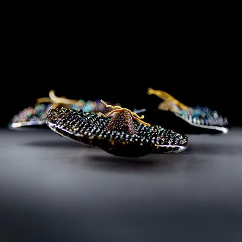 Alinea.