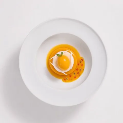 黑天鹅