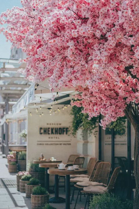 Chekhoff Cafe & Bar