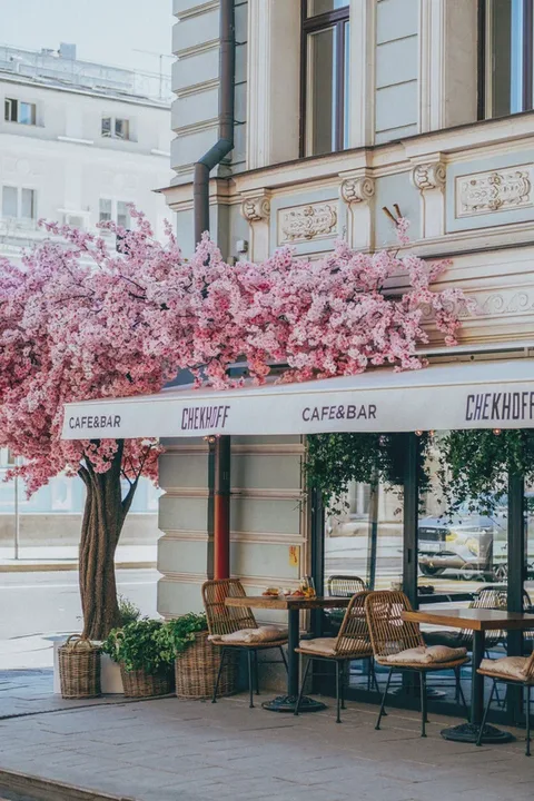 Chekhoff Cafe & Bar