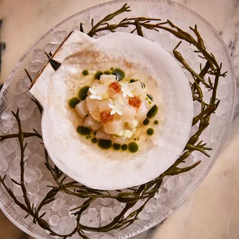 Oiji Mi