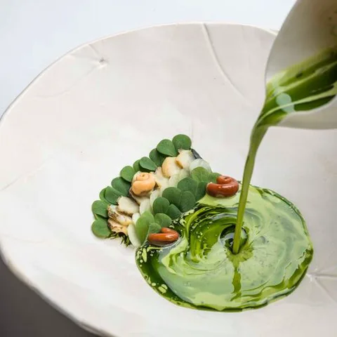 Aponiente
