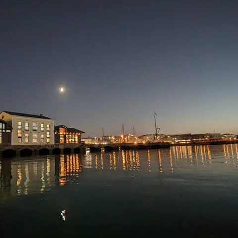 Auga