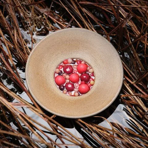 L'Enclume