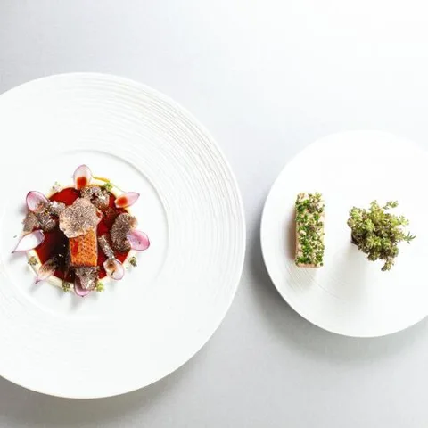 Olive Tree