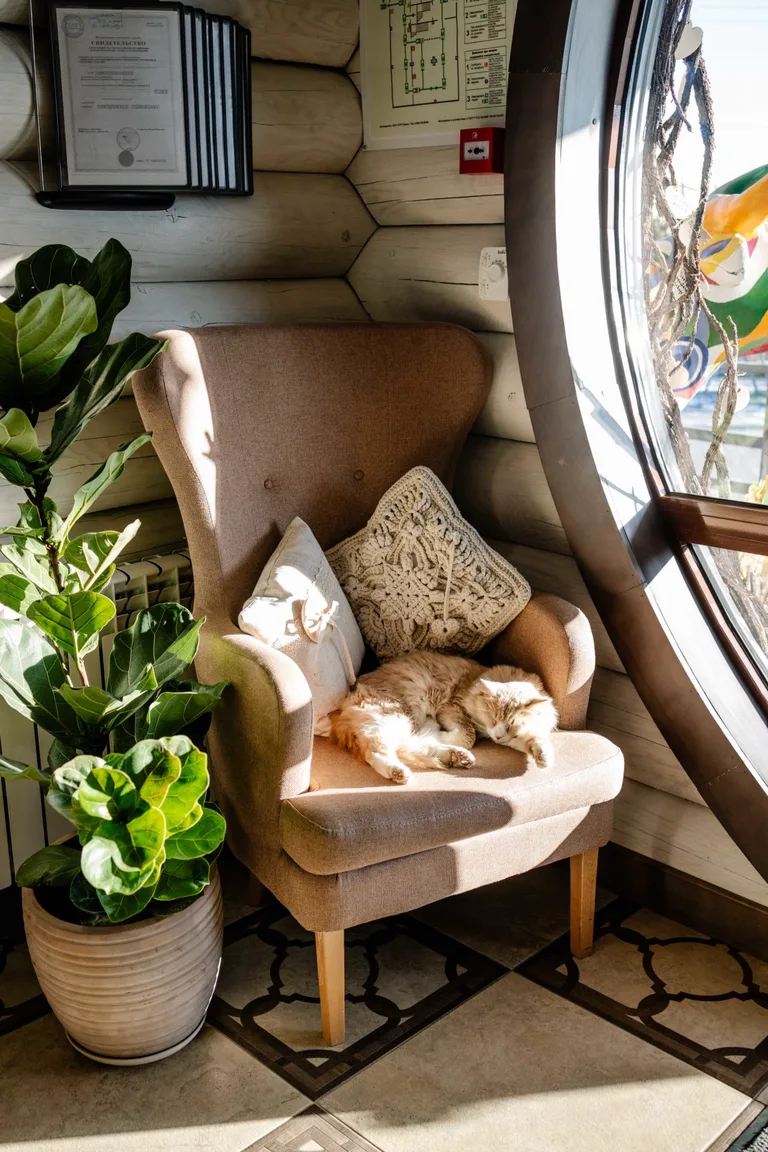 DACHA