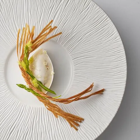 L'Oiseau Blanc