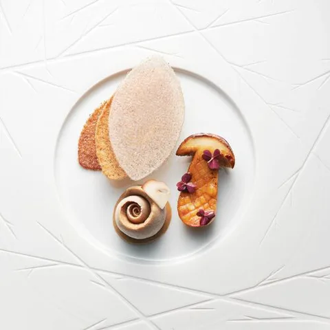 L'Oiseau Blanc