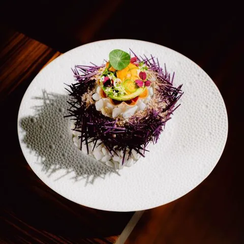 Restaurant gastronomique, Los Cabos.