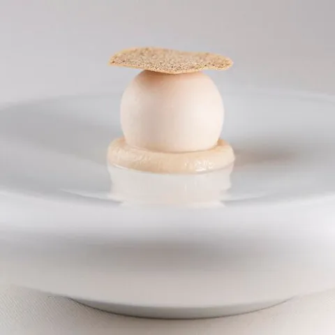 昆廷爵士