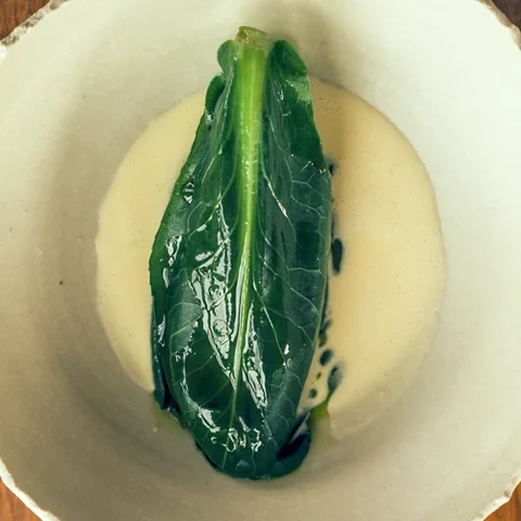 弗蕾雅