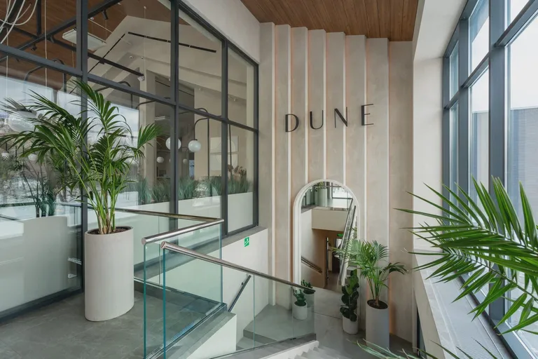 Dune