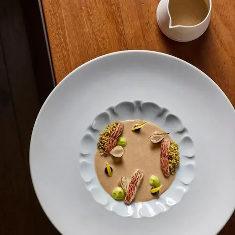 马尔科斯