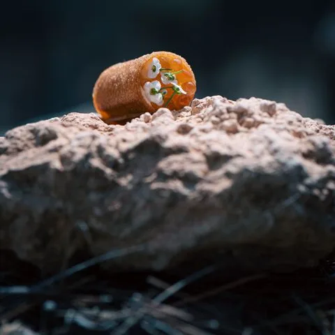 短语