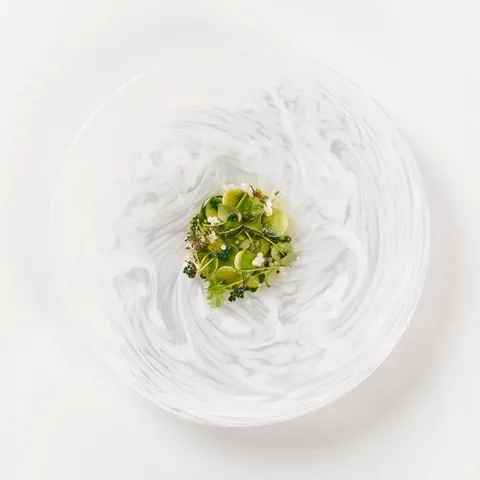 Geranium