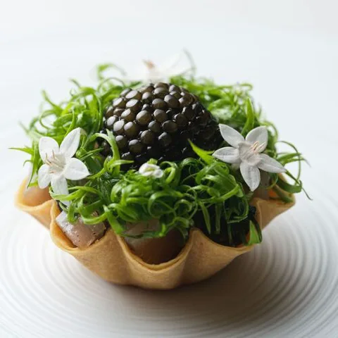 FRASSI