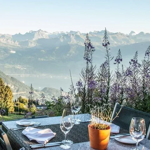 Ресторан "Bistro" от Regina Montium.