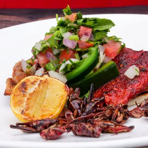 Rocio's Mexican Kitchen