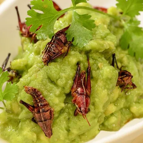 Axiote Cocina de Mexico