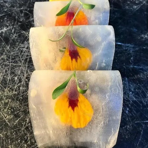 Petí Gastronomia